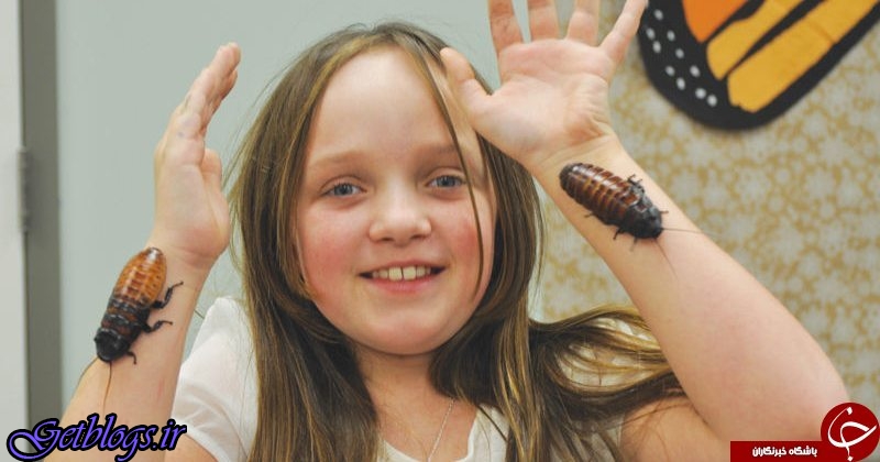 تصاویر) + زندگی عجیب دختر ۹ ساله با هزاران سوسک چندش‌آور! (
