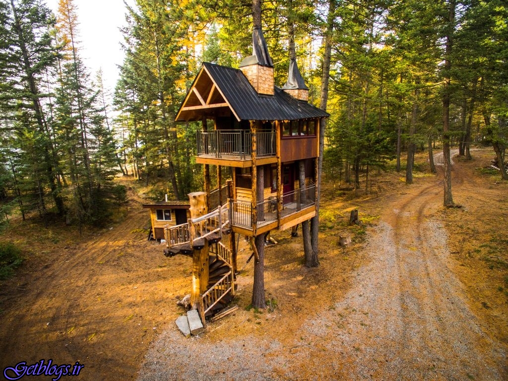 تصویرهای ، هتل درختی با تمام امکانات در دل جنگل‌های کانادا