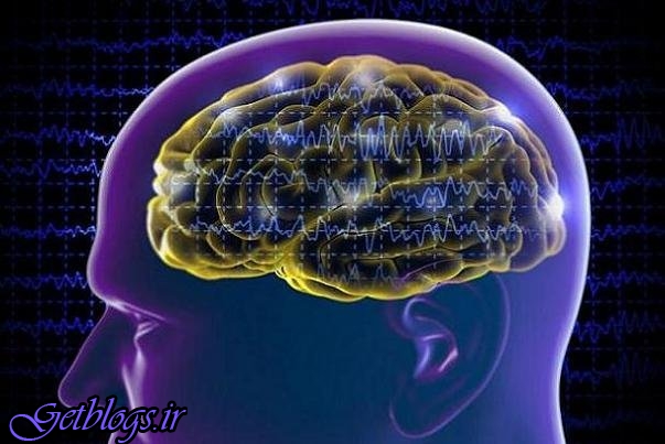 آسیب مغزی در نوجوانی ریسک آلزایمر را زیاد کردن می دهد