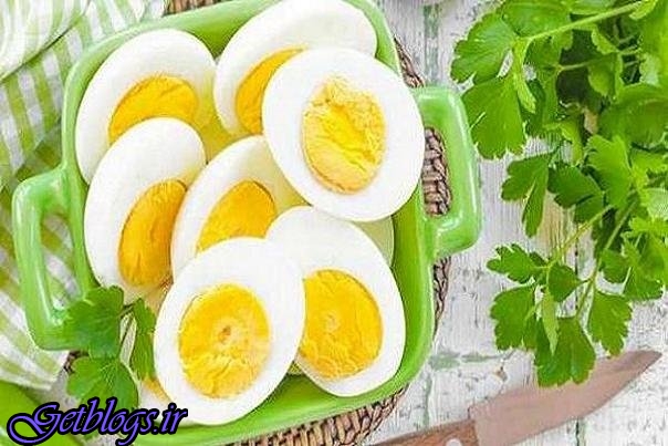 مصرف تخم مرغ خطر بیماری قلبی عروقی را زیاد کردن نمی دهد