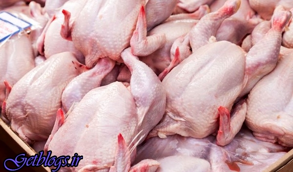 روند کاهشی قیمت مرغ و ماهی ادامه خواهد داشت ، کم کردن 600 تومانی قیمت مرغ بعد از آخر تعطیلات