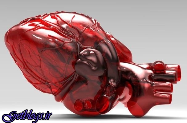 تولید داربست خاص جهت کشت سلول‌های قلبی به وسیله دانشمند ایرانی