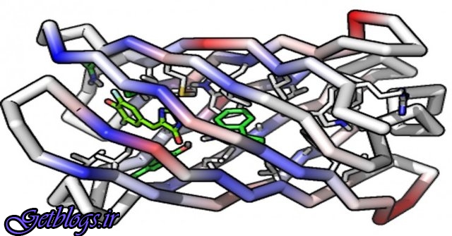ابداع نخستین پروتئین قابل اتصال به مولکول