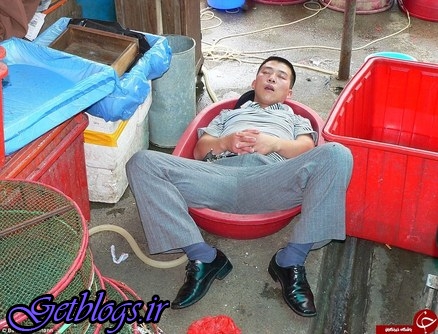 تصاویر + حالت‌های خنده‌دار چینی‌ها هنگام چرت زدن