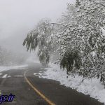ورود سامانه بارشی تازه از جمعه ، استان پایتخت کشور عزیزمان ایران در انتظار بارش برف