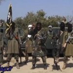 «بوکوحرام» از سال ۲۰۱۳ حدود ۱۰۰۰ کودک را در نیجریه ربوده است / یونیسف