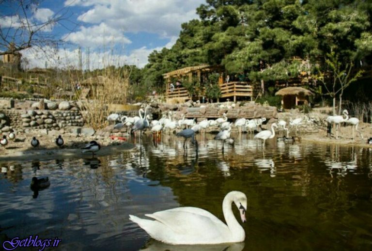 دهکده های سالمندی در راه است