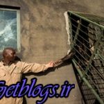 تصاویر) + زندگی با شامپانزههای کنیایی (