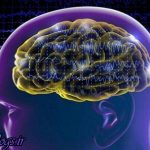 آسیب مغزی در نوجوانی ریسک آلزایمر را زیاد کردن می دهد