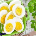 مصرف تخم مرغ خطر بیماری قلبی عروقی را زیاد کردن نمی دهد