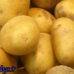 این قسمت سیب زمینی را هرگز نخورید