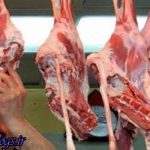 هر شقه گوشت داخلی به ٥٠ هزار تومان رسید