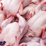 روند کاهشی قیمت مرغ و ماهی ادامه خواهد داشت ، کم کردن 600 تومانی قیمت مرغ بعد از آخر تعطیلات