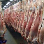 با گرانفروشان برخورد کنید ، عرضه روزانه ۱۰۰تن گوشت گوسفندی در تهران