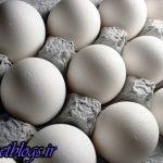 تخممرغ امسال هم گرانتر از قیمت منطقی