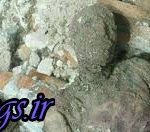 دفن مومیایی ری بدون هماهنگی!