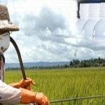 جایگزینی آفت کش ها با واکسن مبتنی بر اسید ریبونوکلئیک