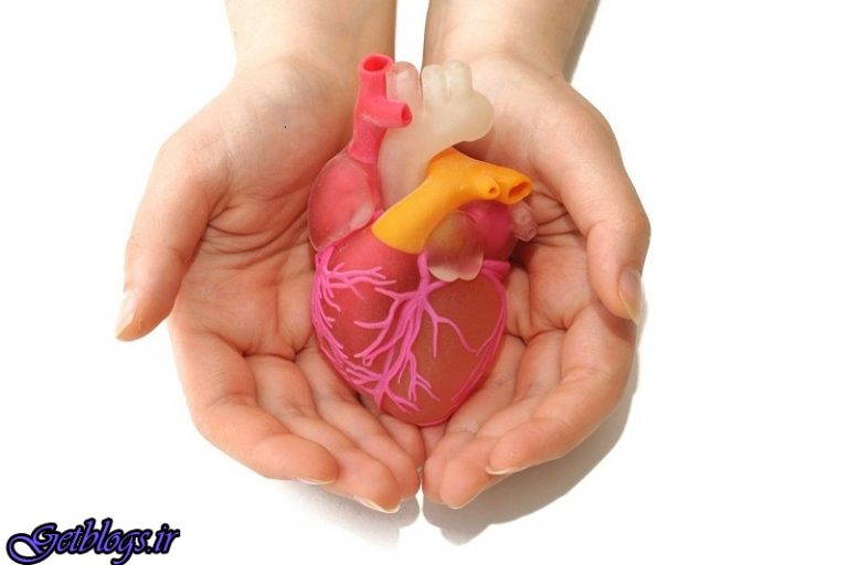 فعالیت فیزیکی بعد از حمله قلبی خطر فوت را کم کردن می دهد