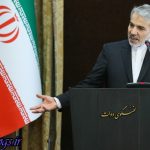 واکنش سخنگوی قوه مجریه به بیانات وزیر امور خارجه آمریکا