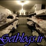 شایعترین علت فوت جوانان تهرانی