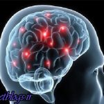 ارتباط بین انزوای اجتماعی و تغییرات شیمیایی مغز
