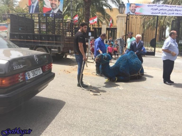 حرکت عجیب طرفداران سعدحریری